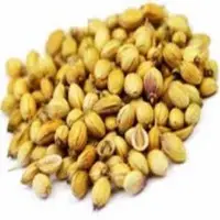Coriander Seeds
